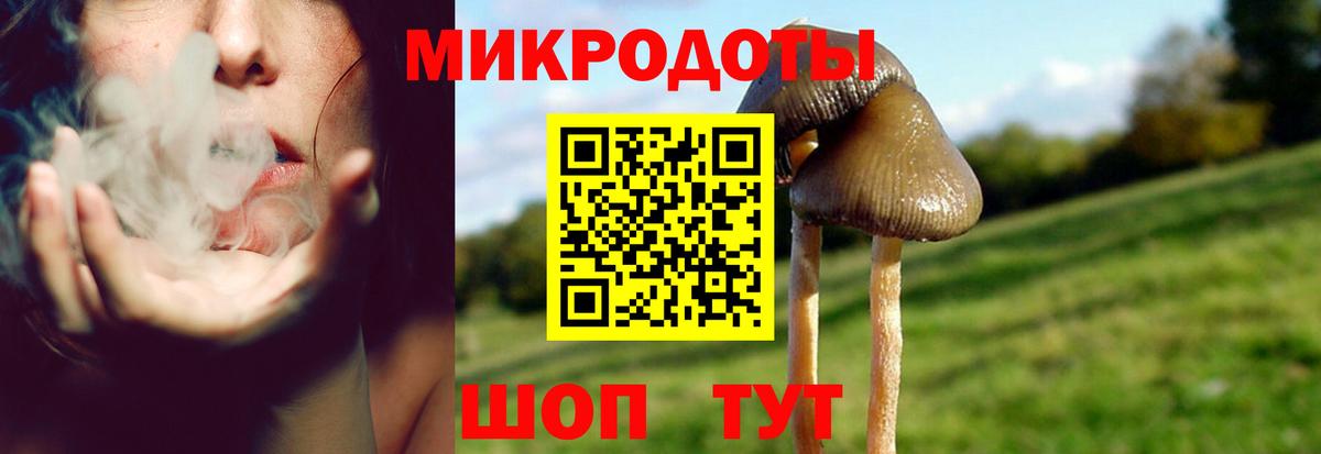 Донецк  Псилоцибиновые грибы Psilocybe  Вход с VPN  Псилоцибиновые грибы Psilocybine cubensis 